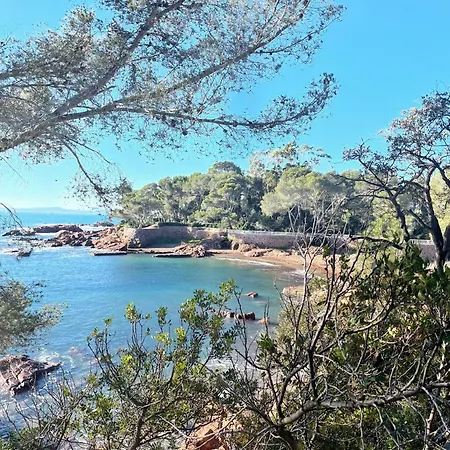 2 Pièces Raphael Rénové, Classé 4 étoiles, 100 M Plages, Piscine, Tennis, Parc, Terrasse, Jardin Privatif *